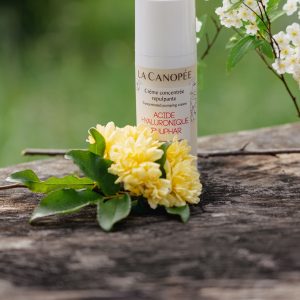 Concentrated plumping cream